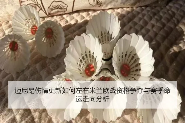 迈尼昂伤情更新如何左右米兰欧战资格争夺与赛季命运走向分析